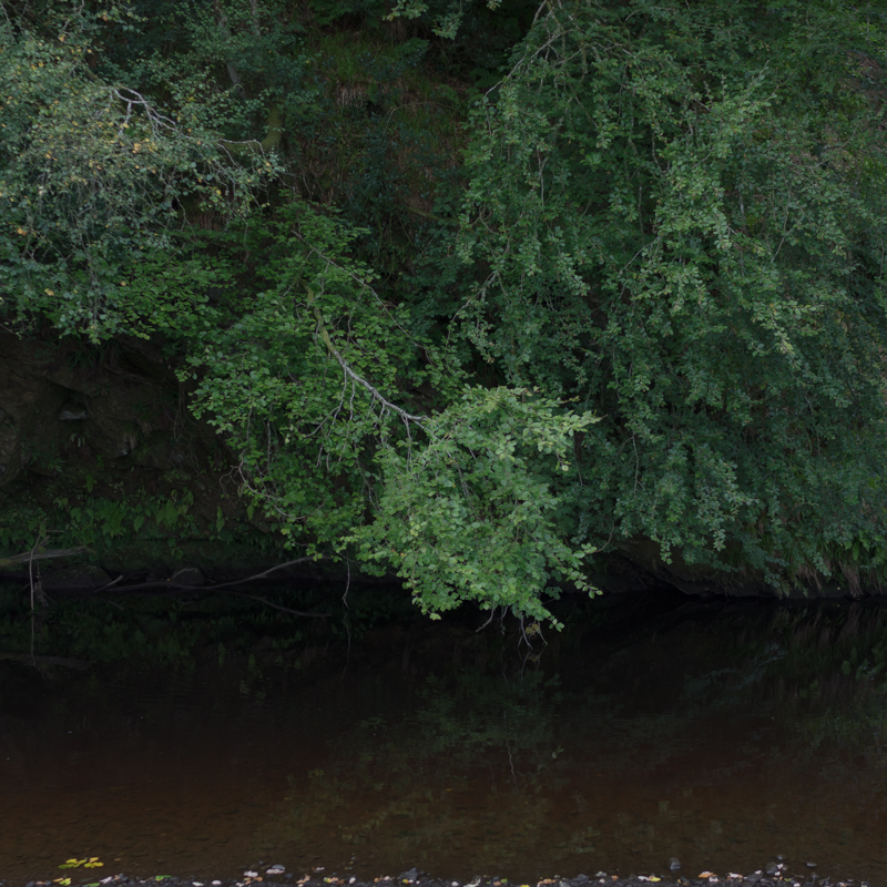 River Faughan Burntollet Co Derry