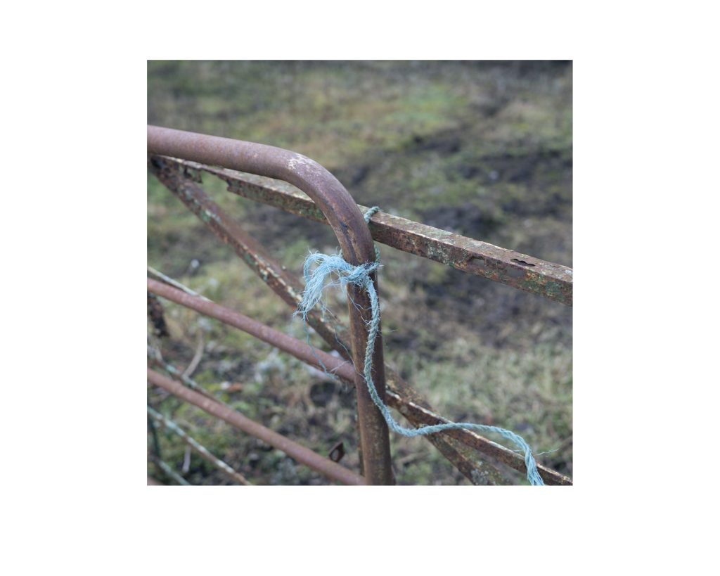 Home Place - PDF-113