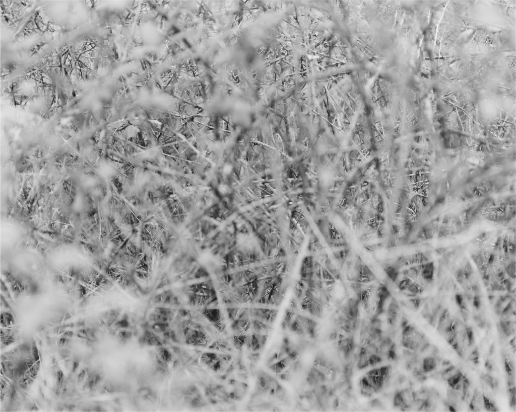 Home Place - PDF-115