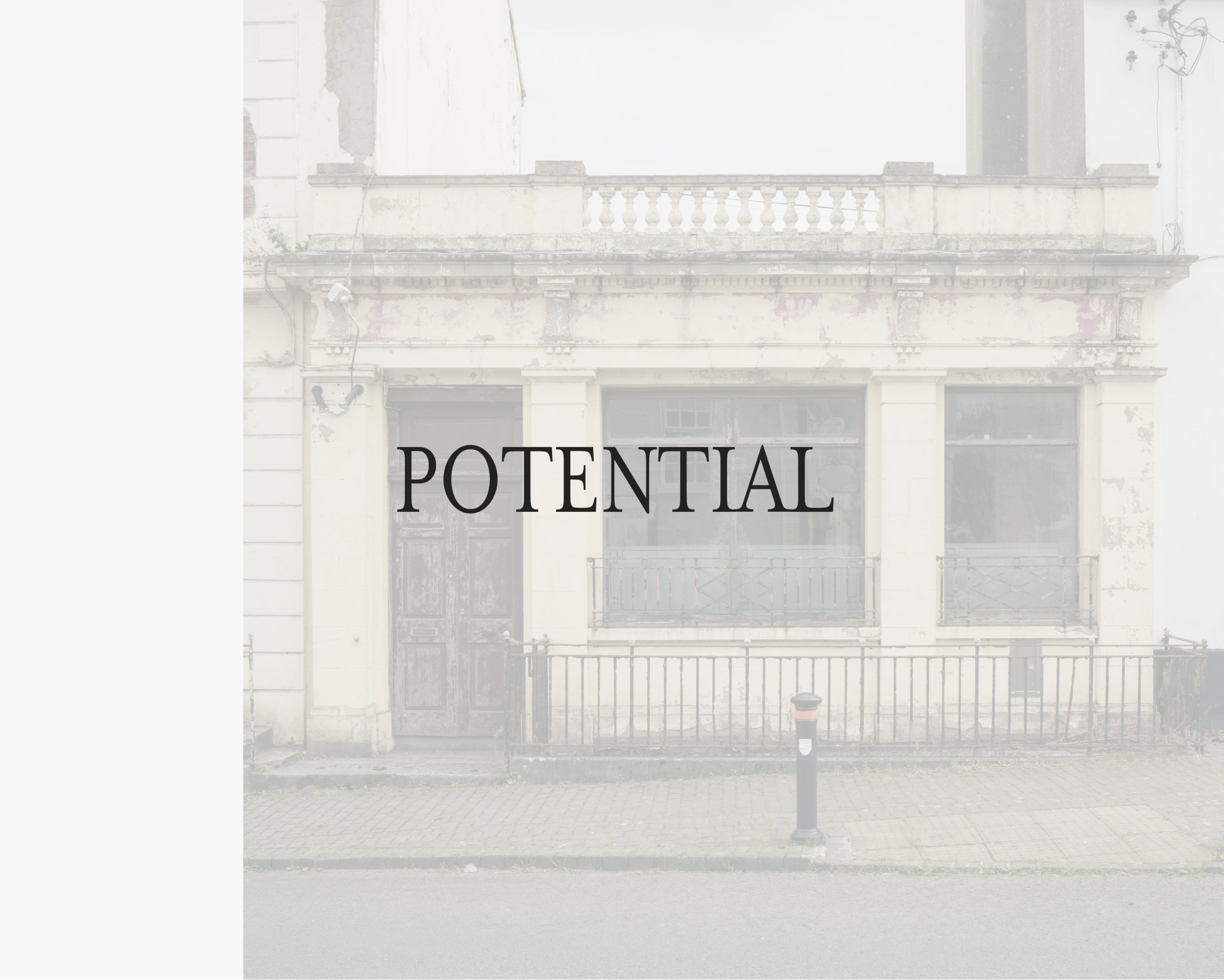 Sansevieria Golden Flame - Image 2